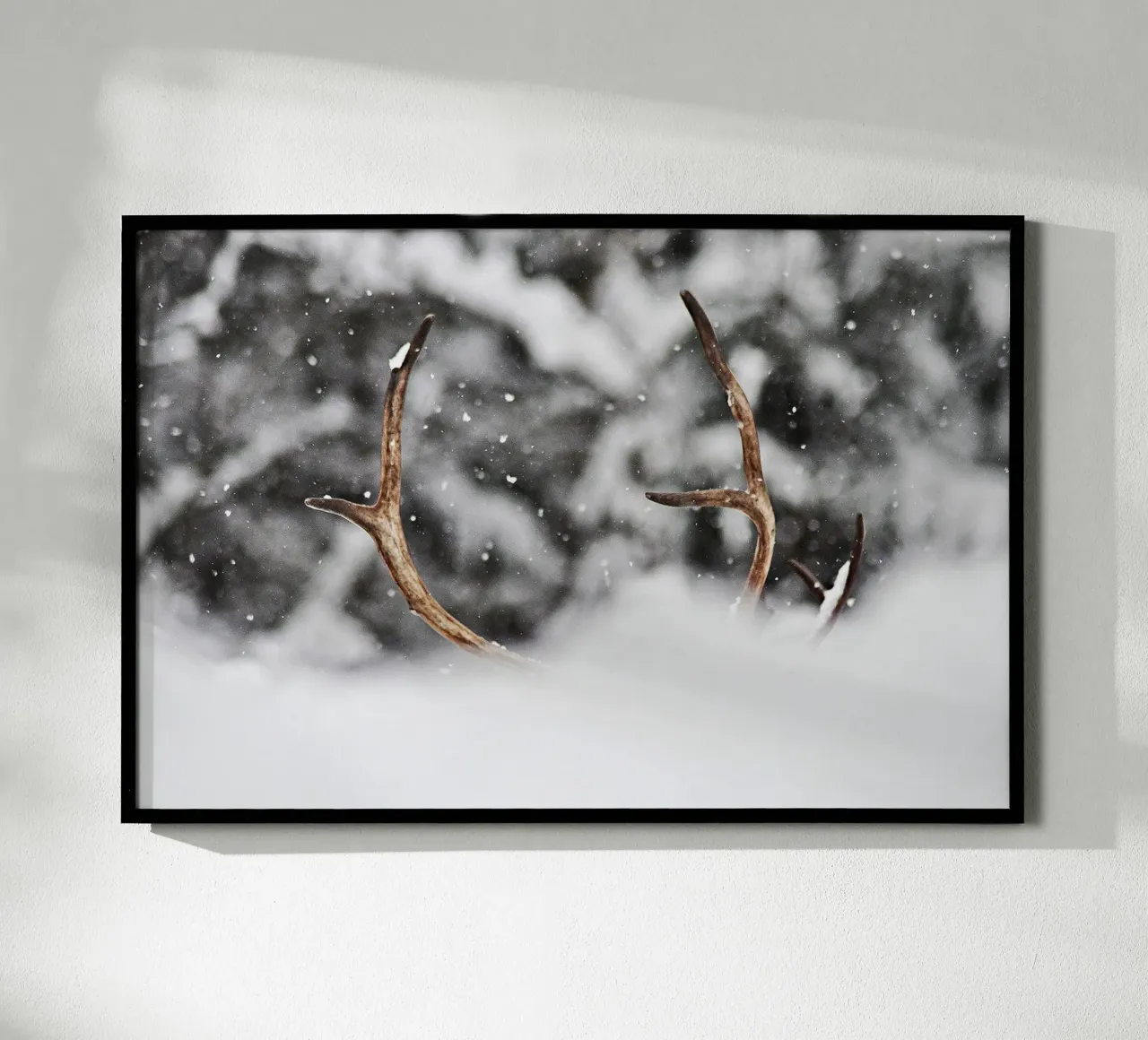 Renna poster con telaio in alluminio da abnerssonstudio