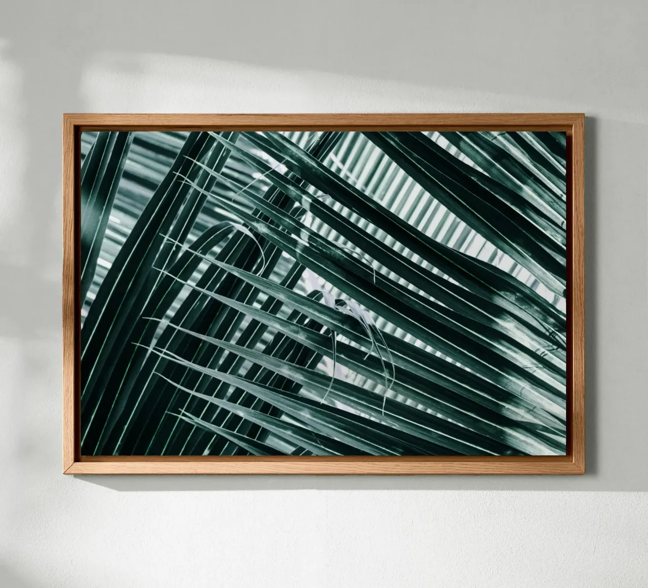 Palm leaves canvas with Floater frame by Léa Lefebvre Photography