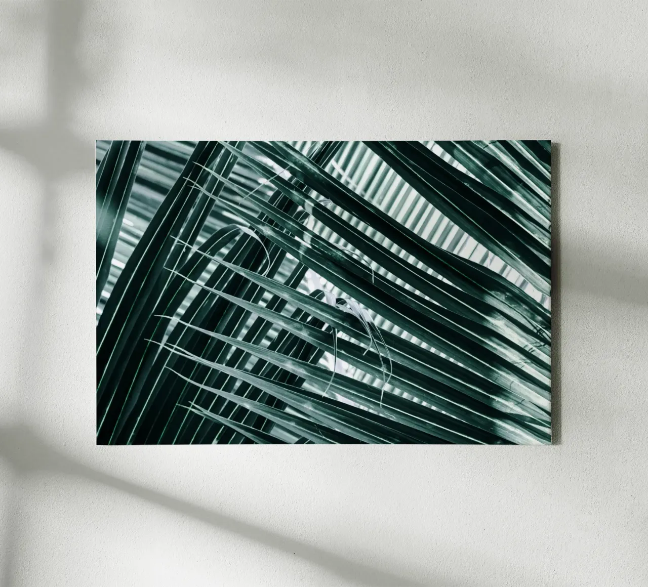 Palm leaves canvas with Floater frame by Léa Lefebvre Photography
