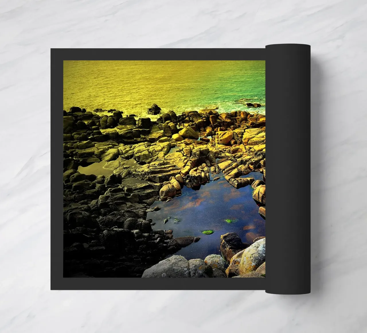 FAA126 zerbino da Thierry vobmann photography