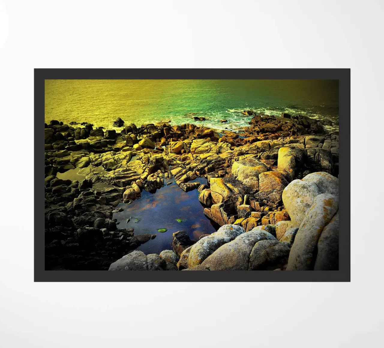 FAA126 zerbino da Thierry vobmann photography