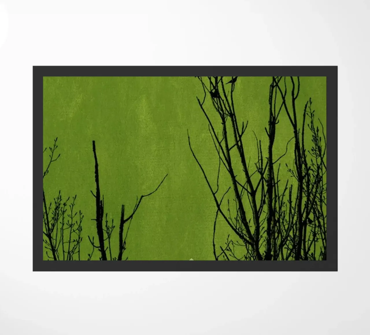 Schwarzwald zerbino da Kubistika