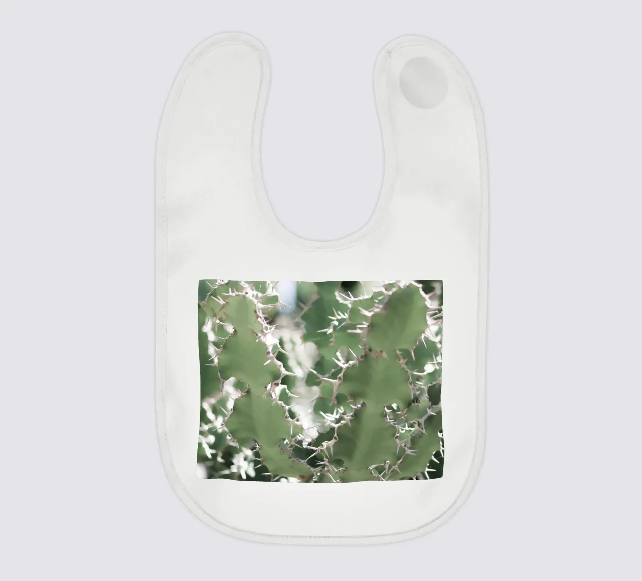 Cactus bavaglino da Léa Lefebvre Photography