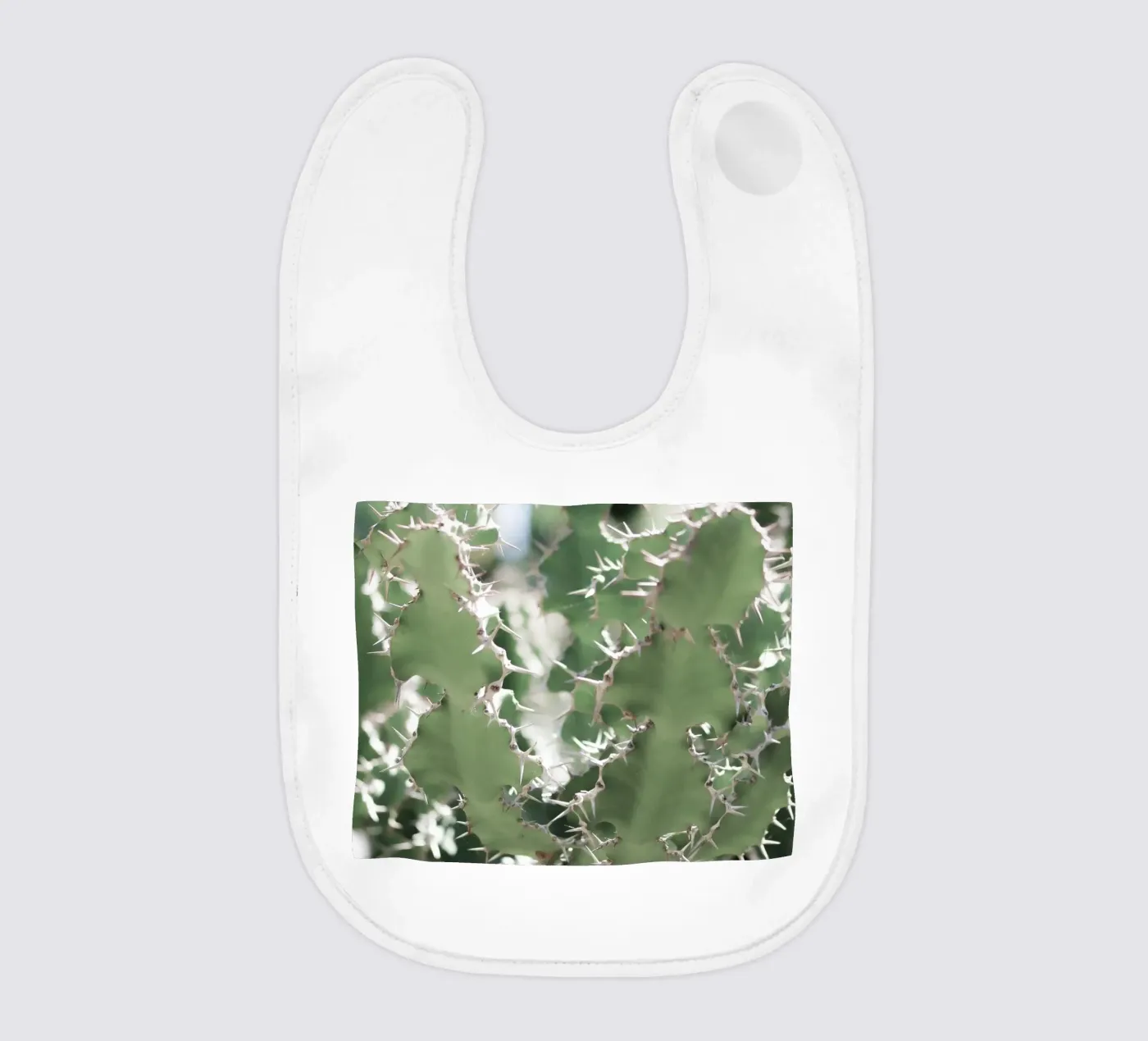 Cactus bavaglino da Léa Lefebvre Photography