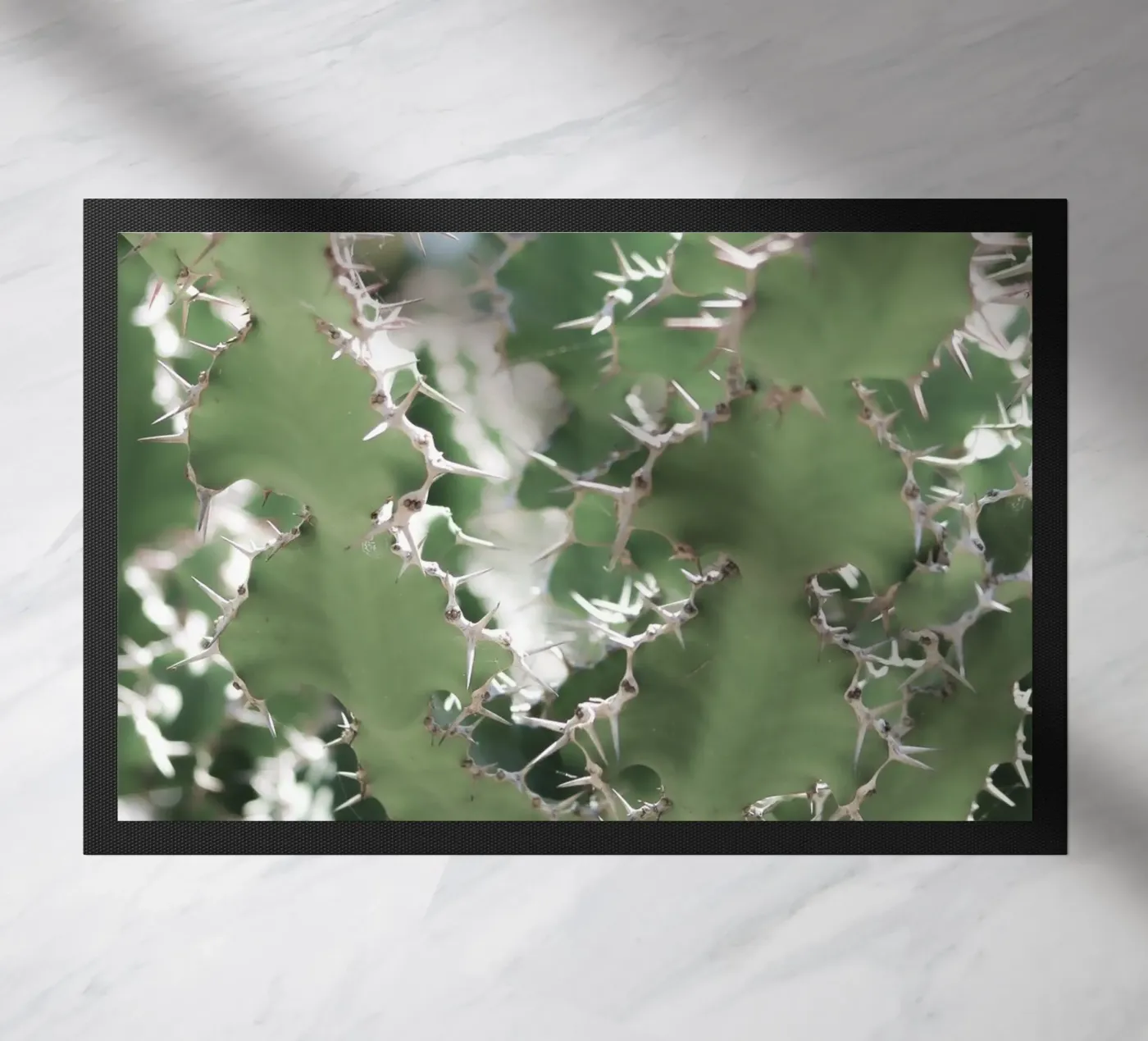 Cactus deurmat van Léa Lefebvre Photography
