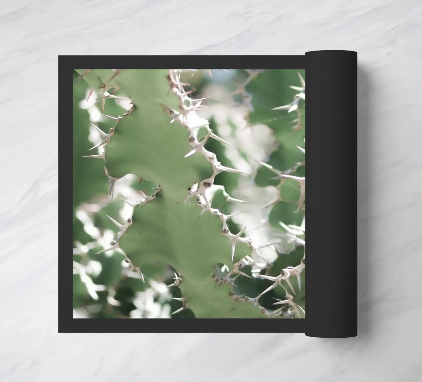 Cactus deurmat van Léa Lefebvre Photography