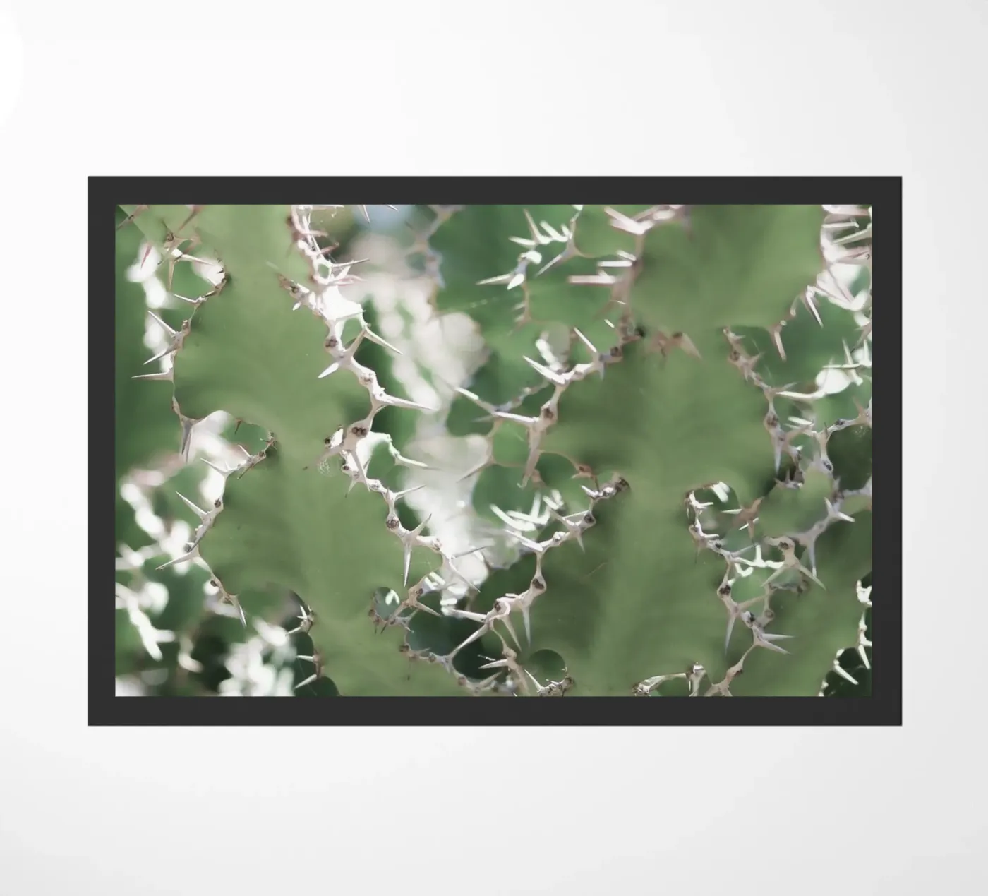 Cactus deurmat van Léa Lefebvre Photography