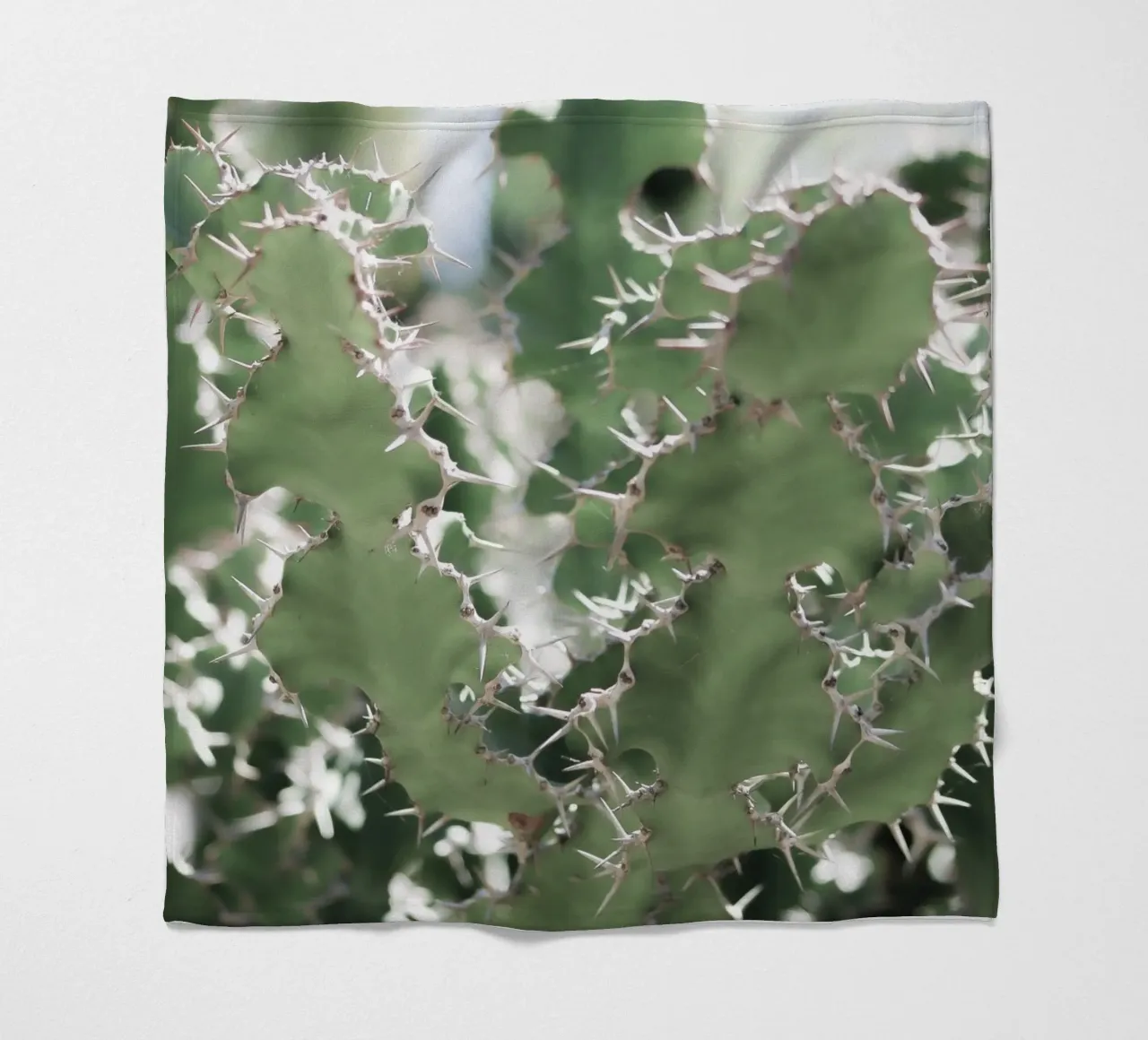 Cactus coperta in pile da Léa Lefebvre Photography