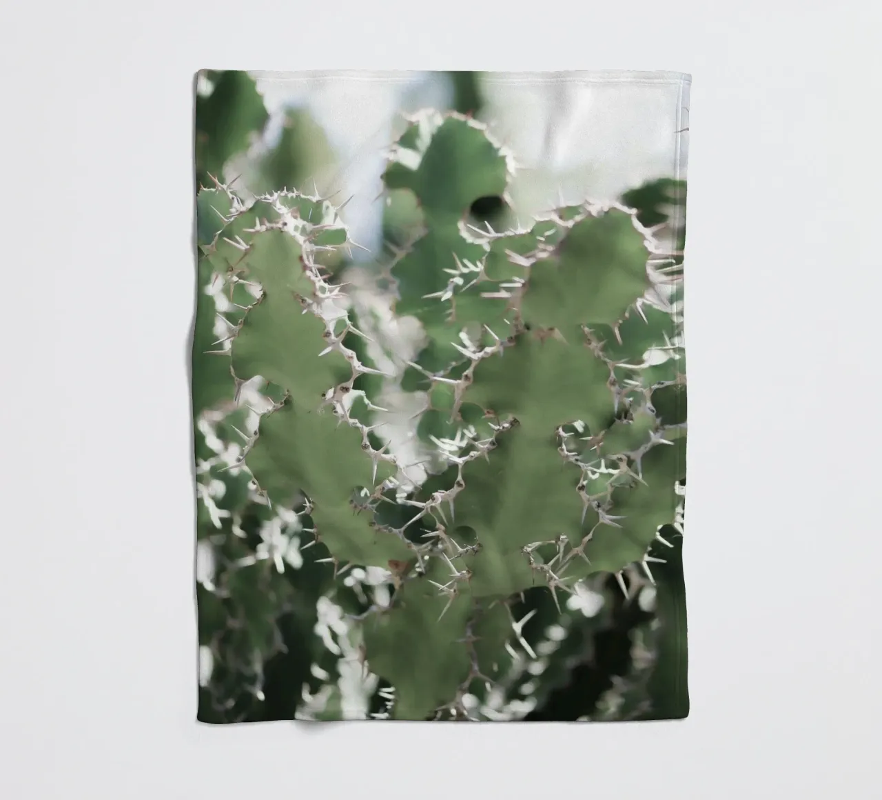 Cactus coperta in pile da Léa Lefebvre Photography