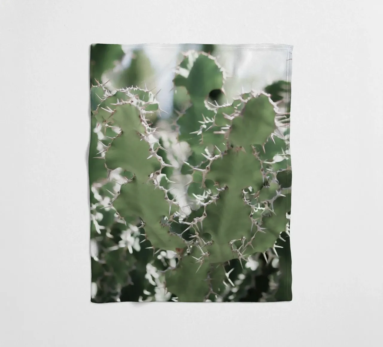 Cactus coperta in pile da Léa Lefebvre Photography