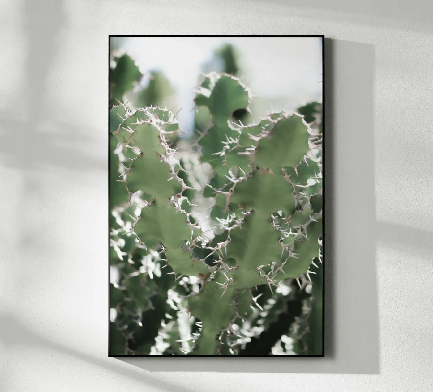 Cactus acryl van Léa Lefebvre Photography