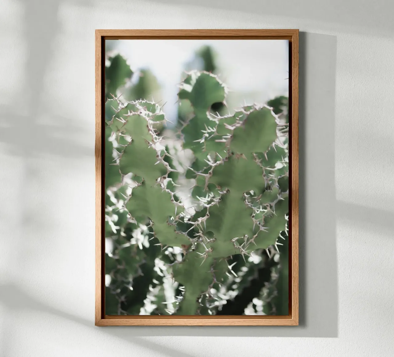 Cactus canvas by Léa Lefebvre Photography