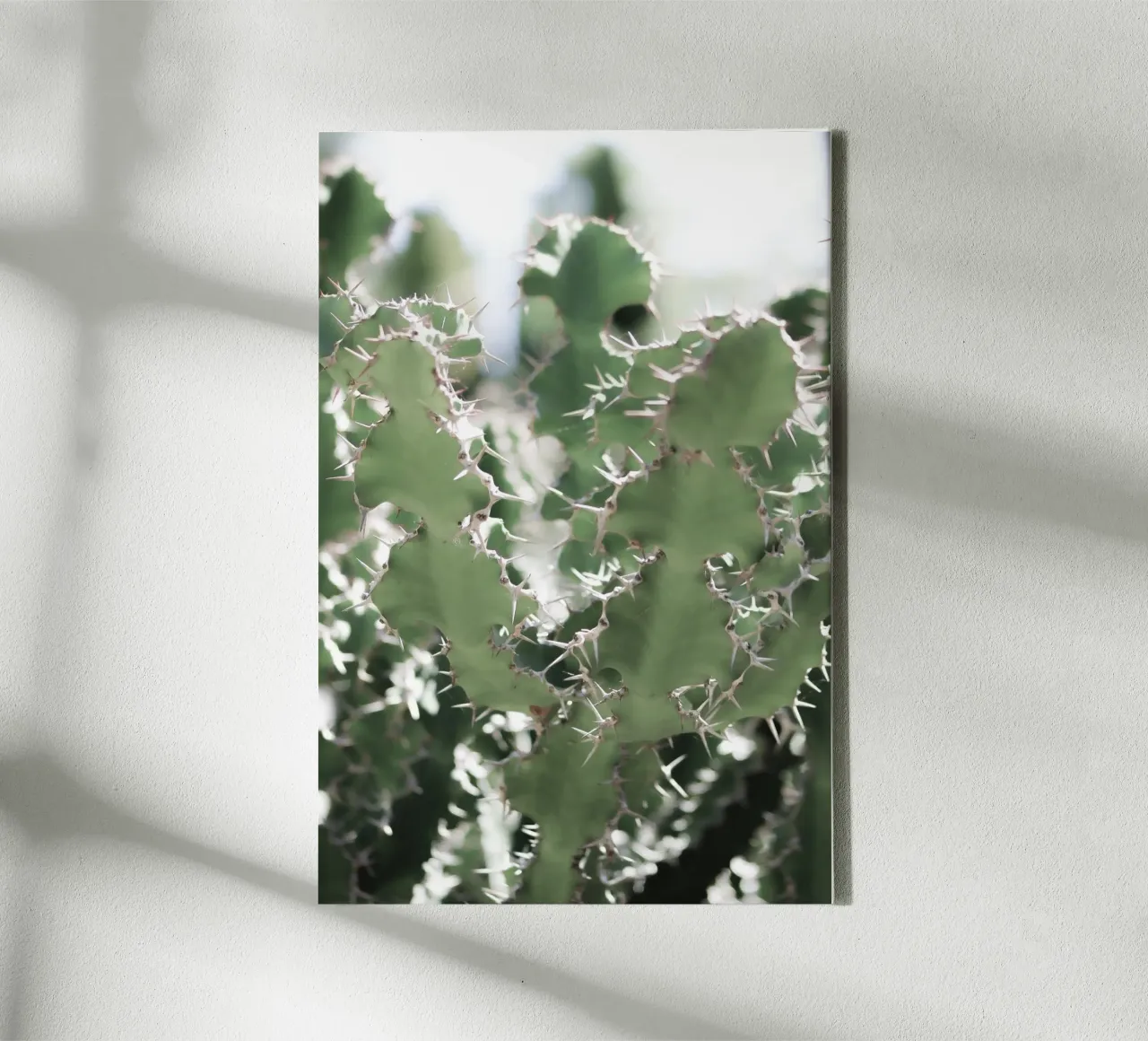 Cactus canvas by Léa Lefebvre Photography
