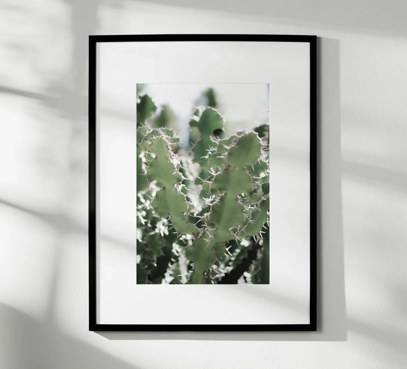 Cactus poster da Léa Lefebvre Photography