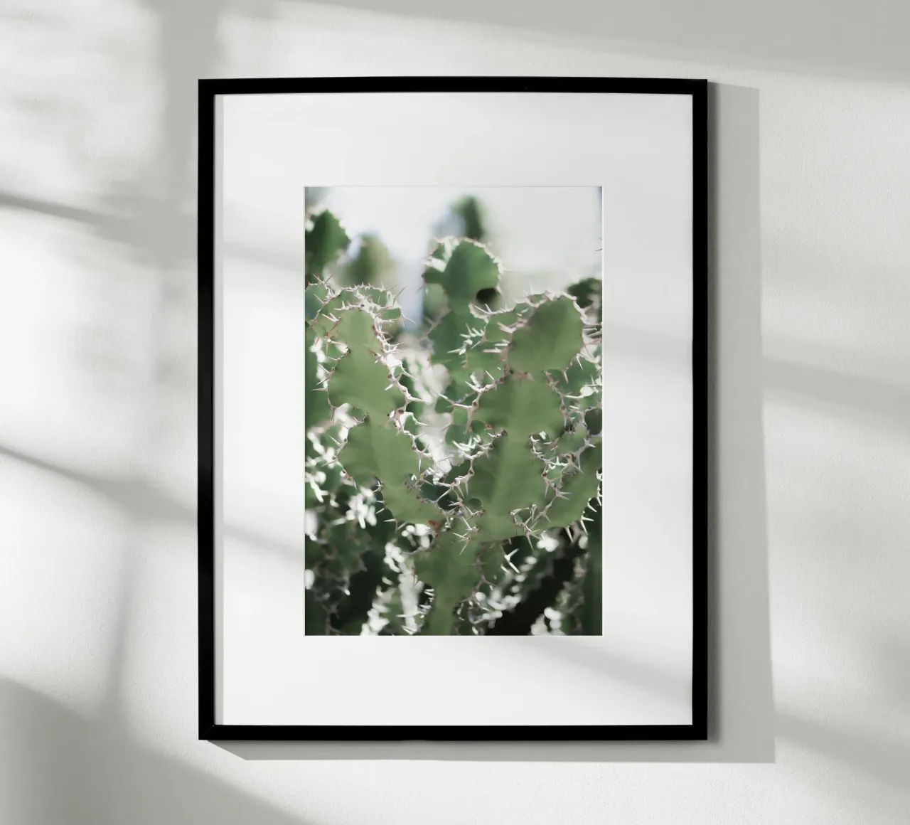 Cactus poster da Léa Lefebvre Photography