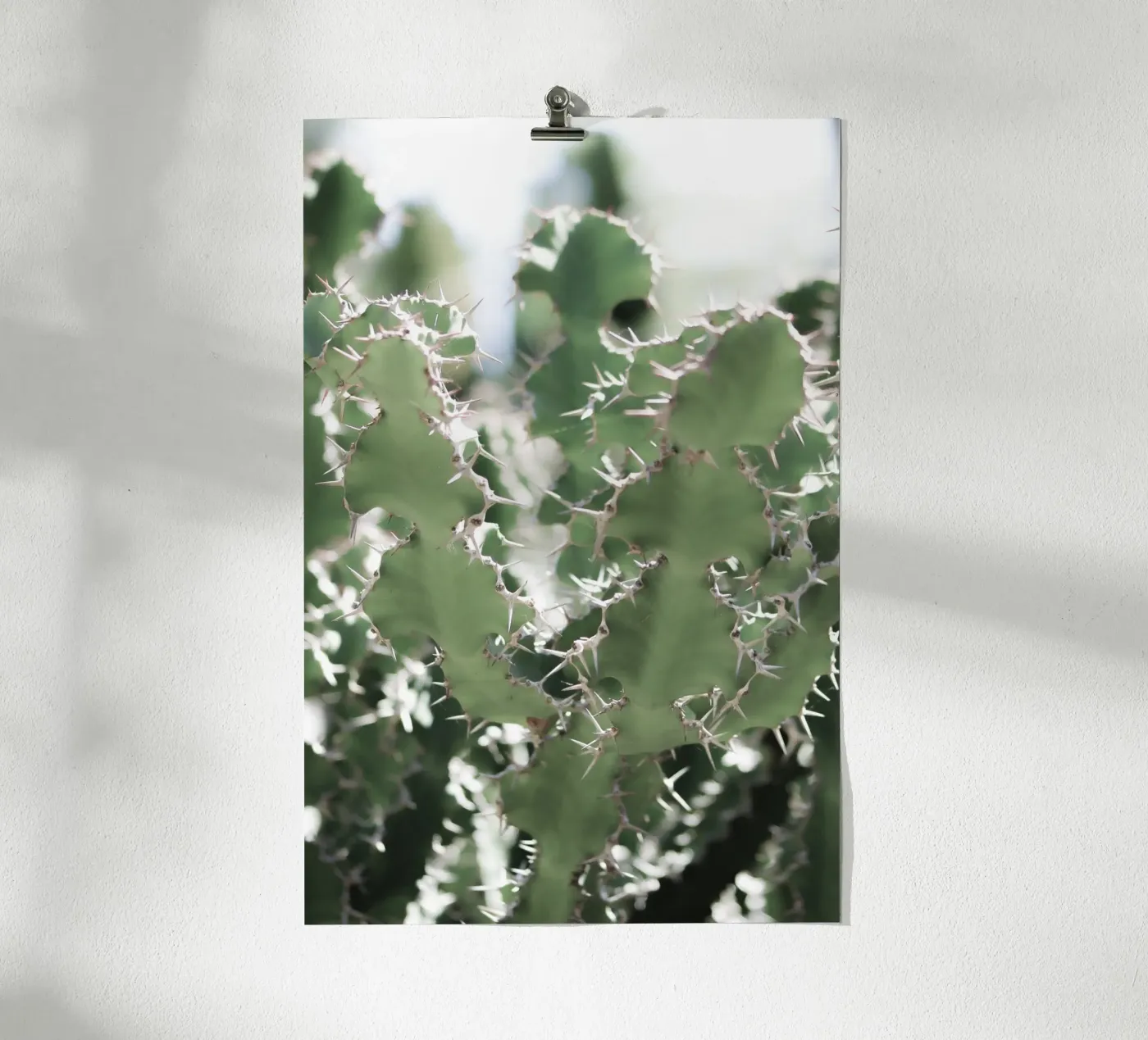 Cactus poster da Léa Lefebvre Photography