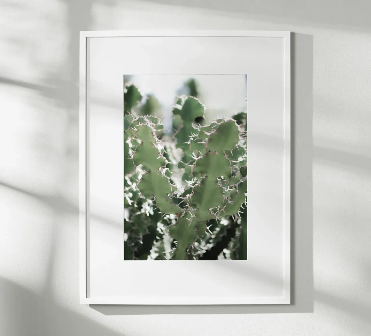 Cactus carta hahnemühle da Léa Lefebvre Photography