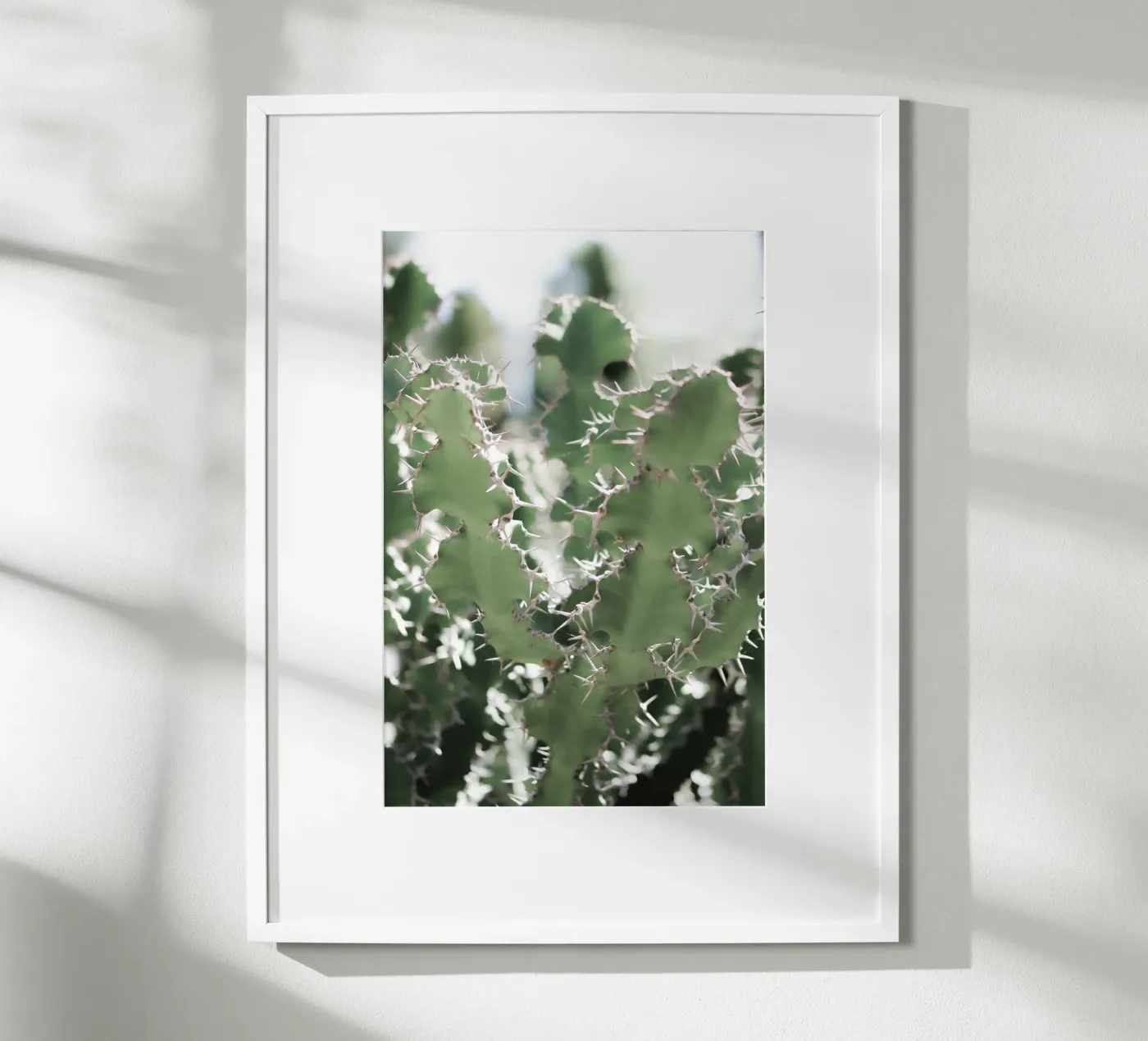 Cactus poster da Léa Lefebvre Photography