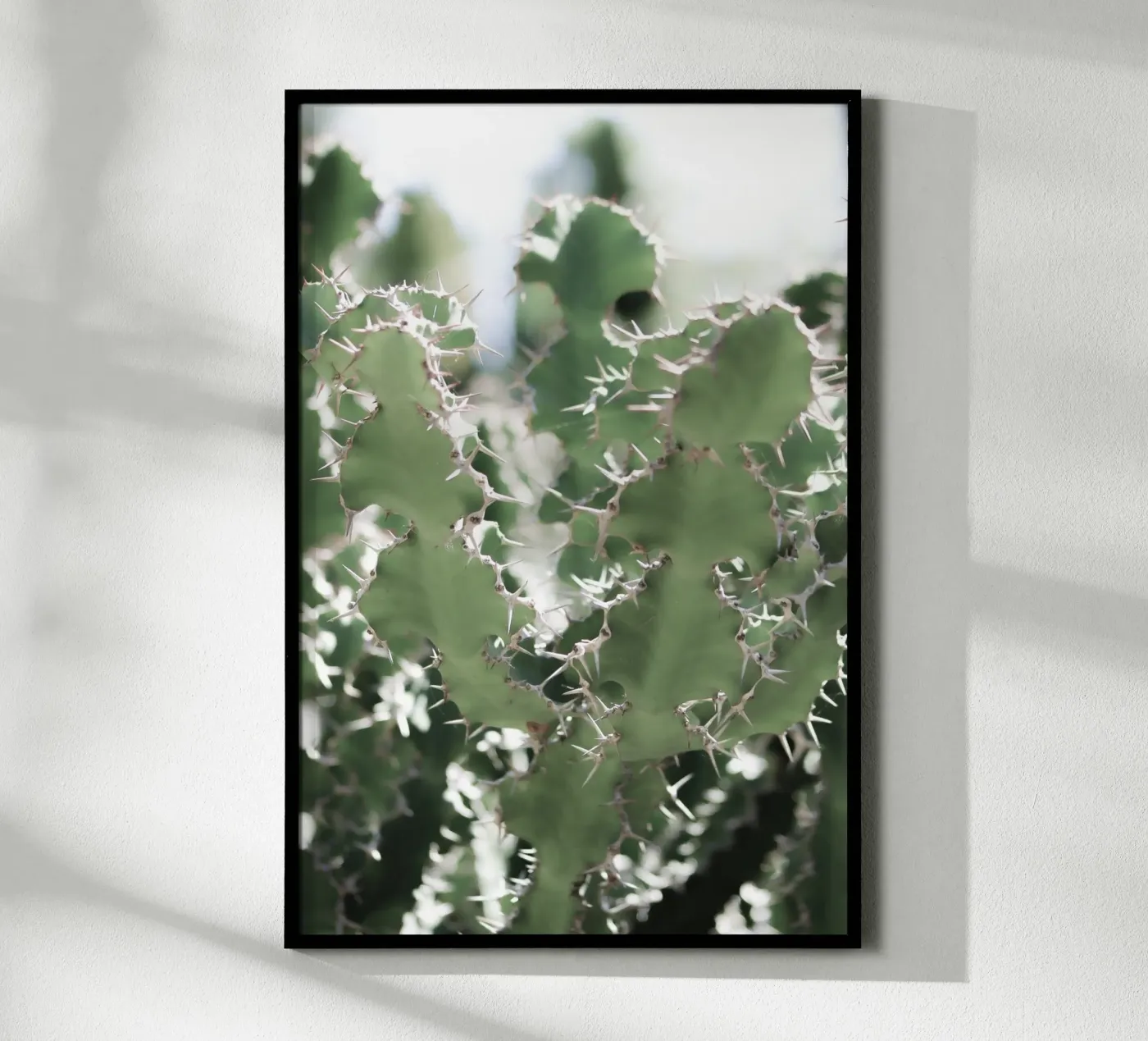 Cactus poster da Léa Lefebvre Photography