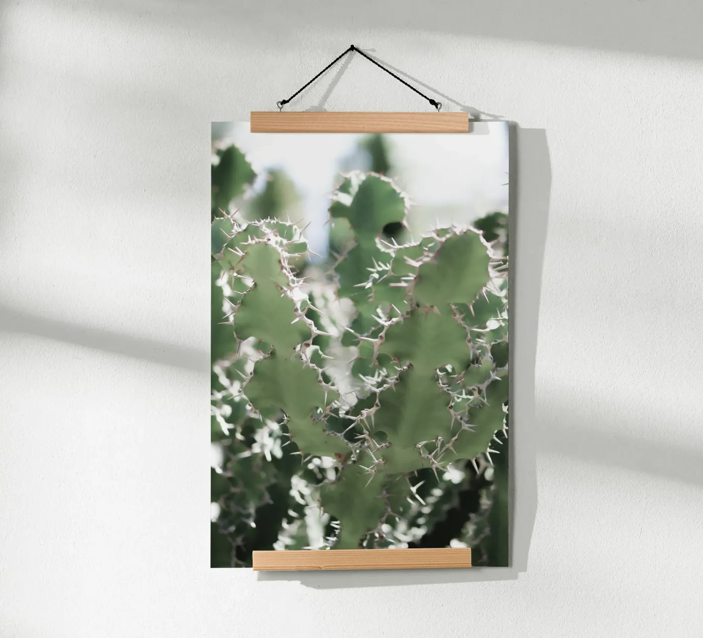 Cactus poster da Léa Lefebvre Photography