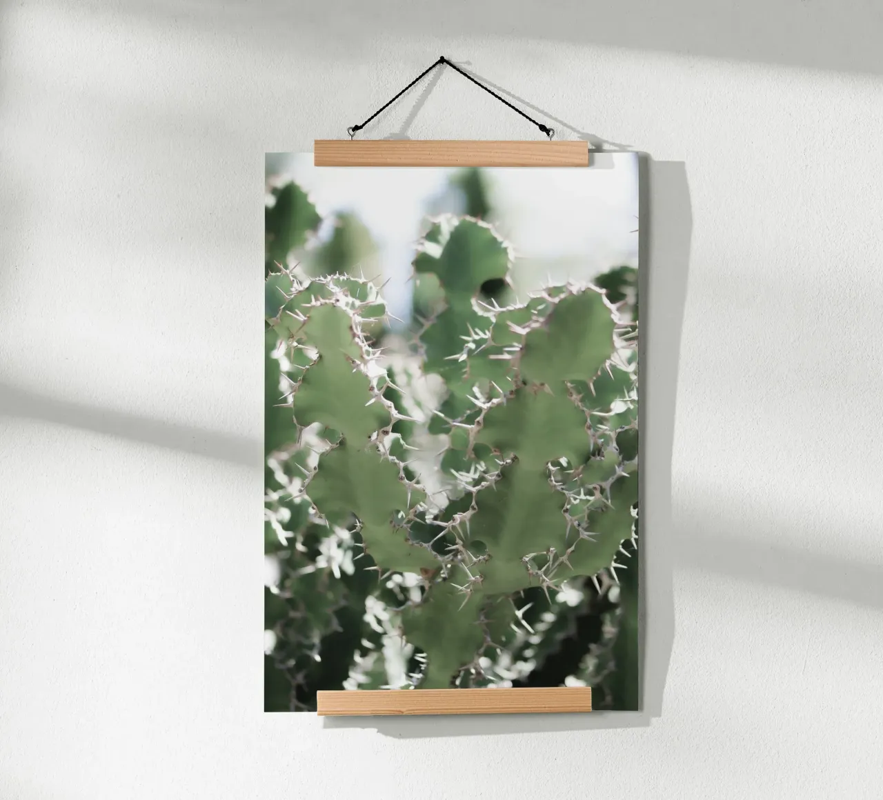 Cactus poster da Léa Lefebvre Photography