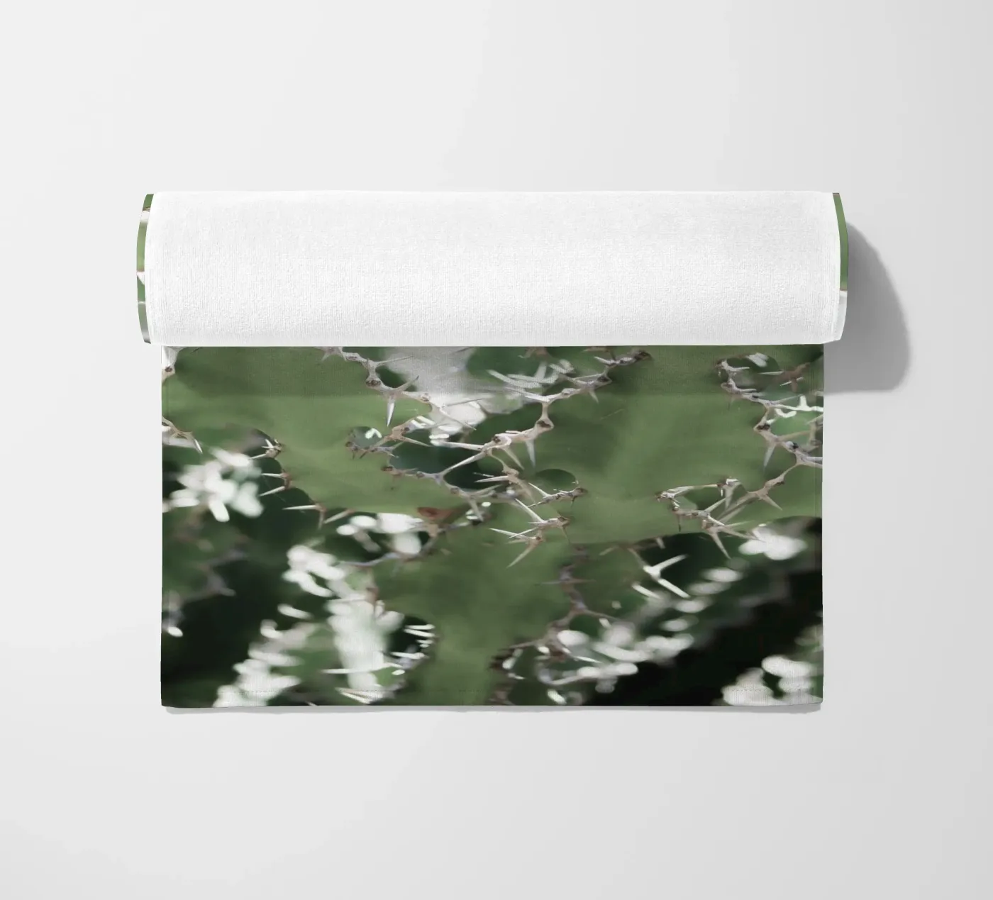 Cactus telo mare da Léa Lefebvre Photography