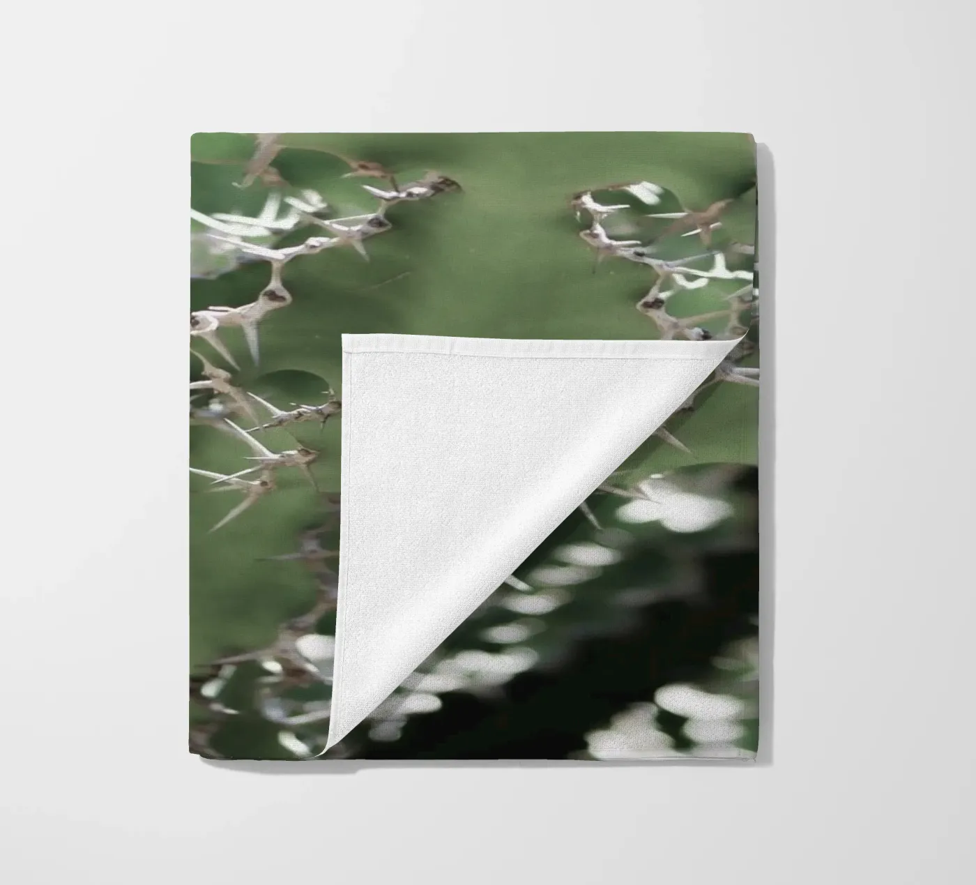 Cactus telo mare da Léa Lefebvre Photography