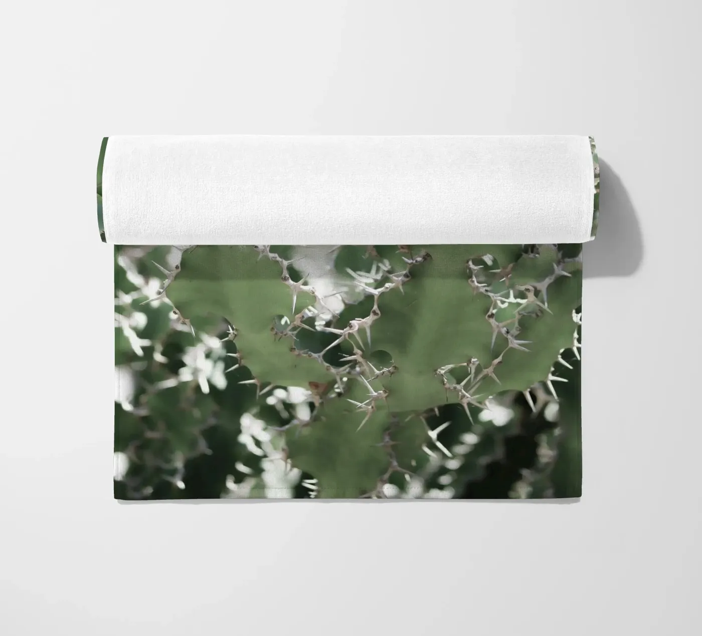 Cactus telo mare da Léa Lefebvre Photography