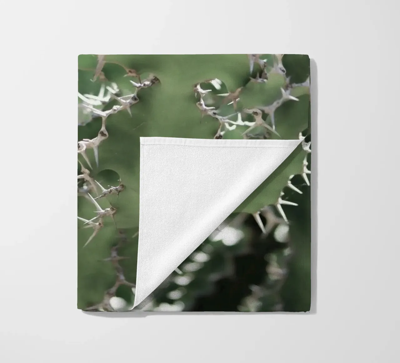 Cactus telo mare da Léa Lefebvre Photography