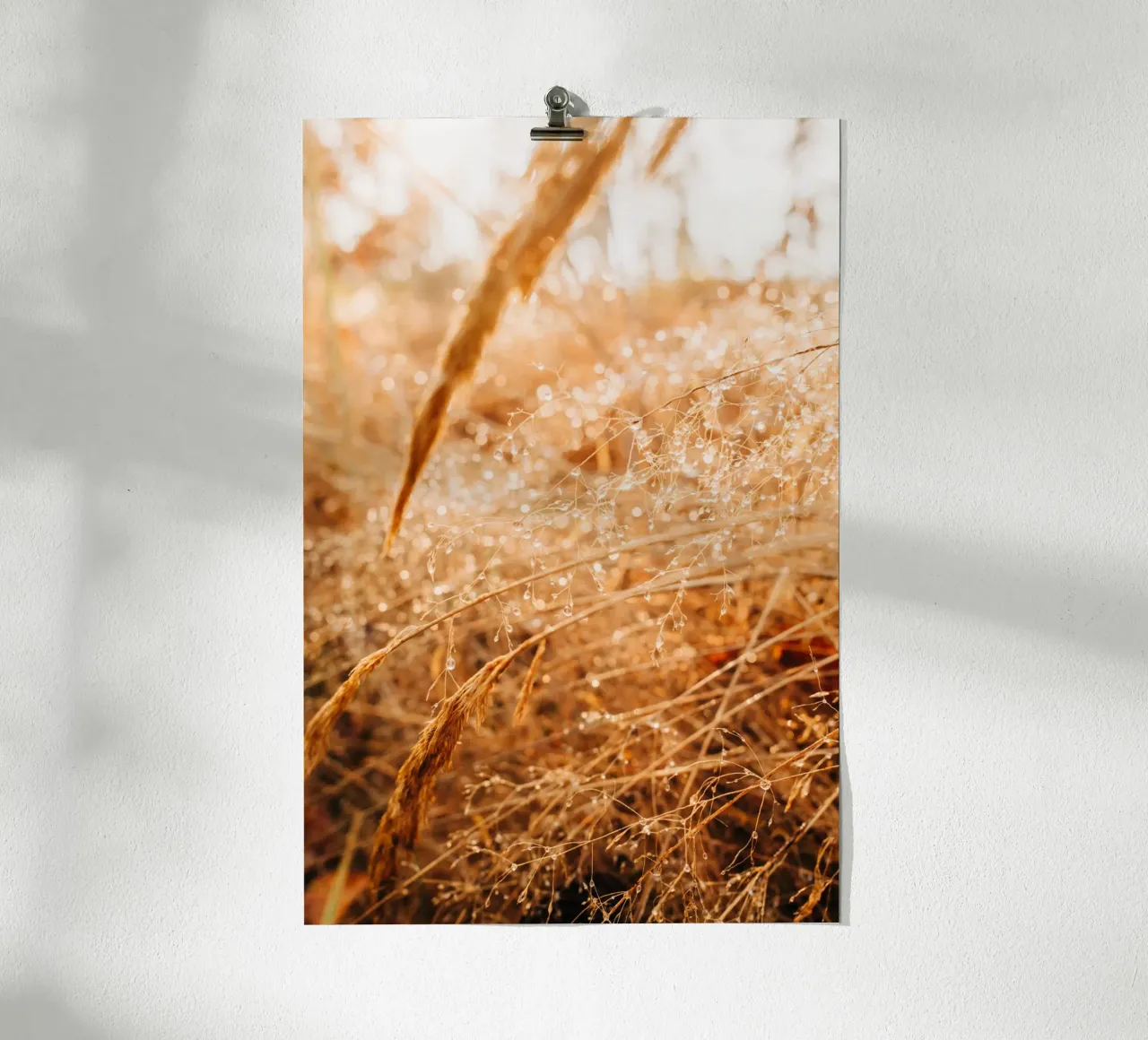 Erbe in autunno: gocce d'acqua e giochi di luce in natura carta hahnemühle da Bold and Retro