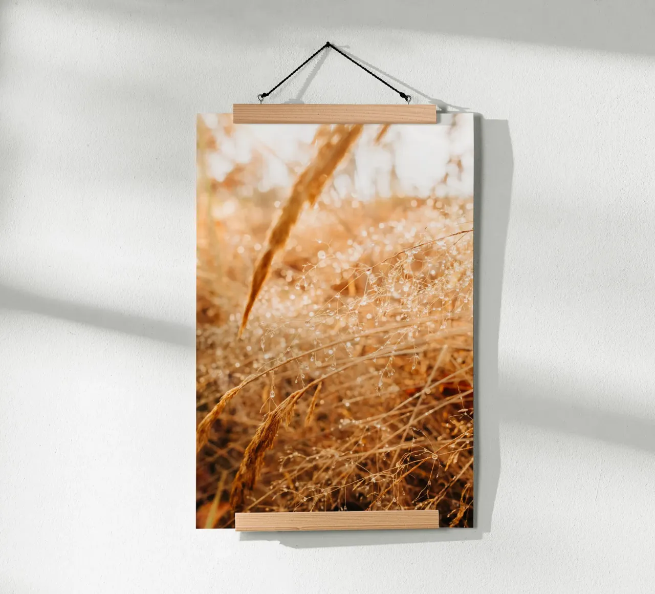 Erbe in autunno: gocce d'acqua e giochi di luce in natura carta hahnemühle da Bold and Retro