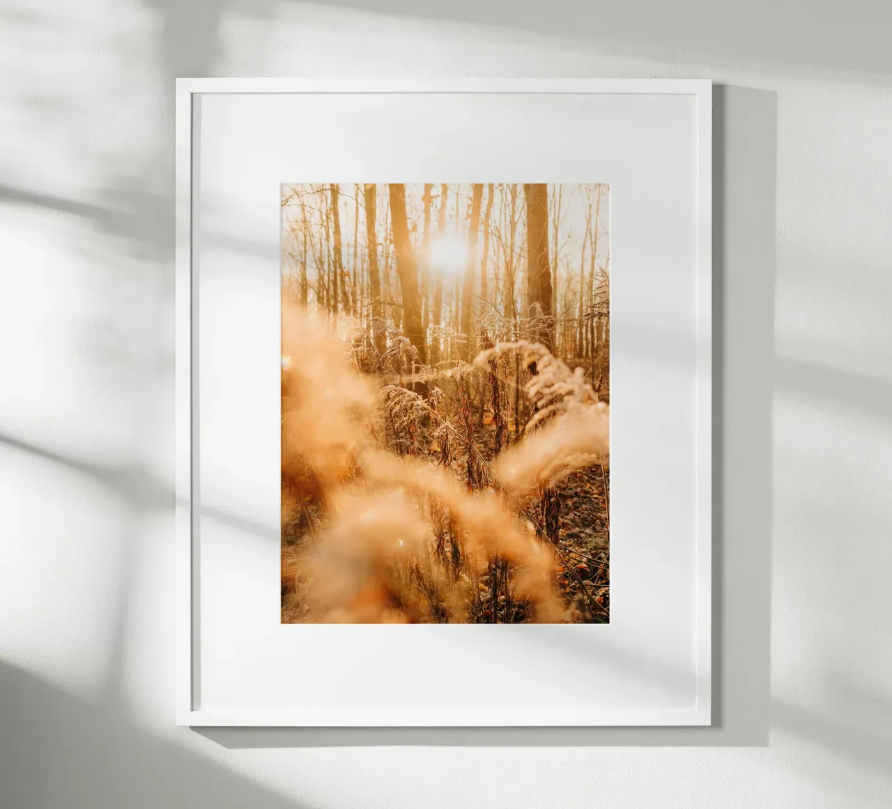 Forêt d'automne dans la lumière du matin - Photographie d'ambiance de la nature poster avec cadre en aluminium de Bold and Retro