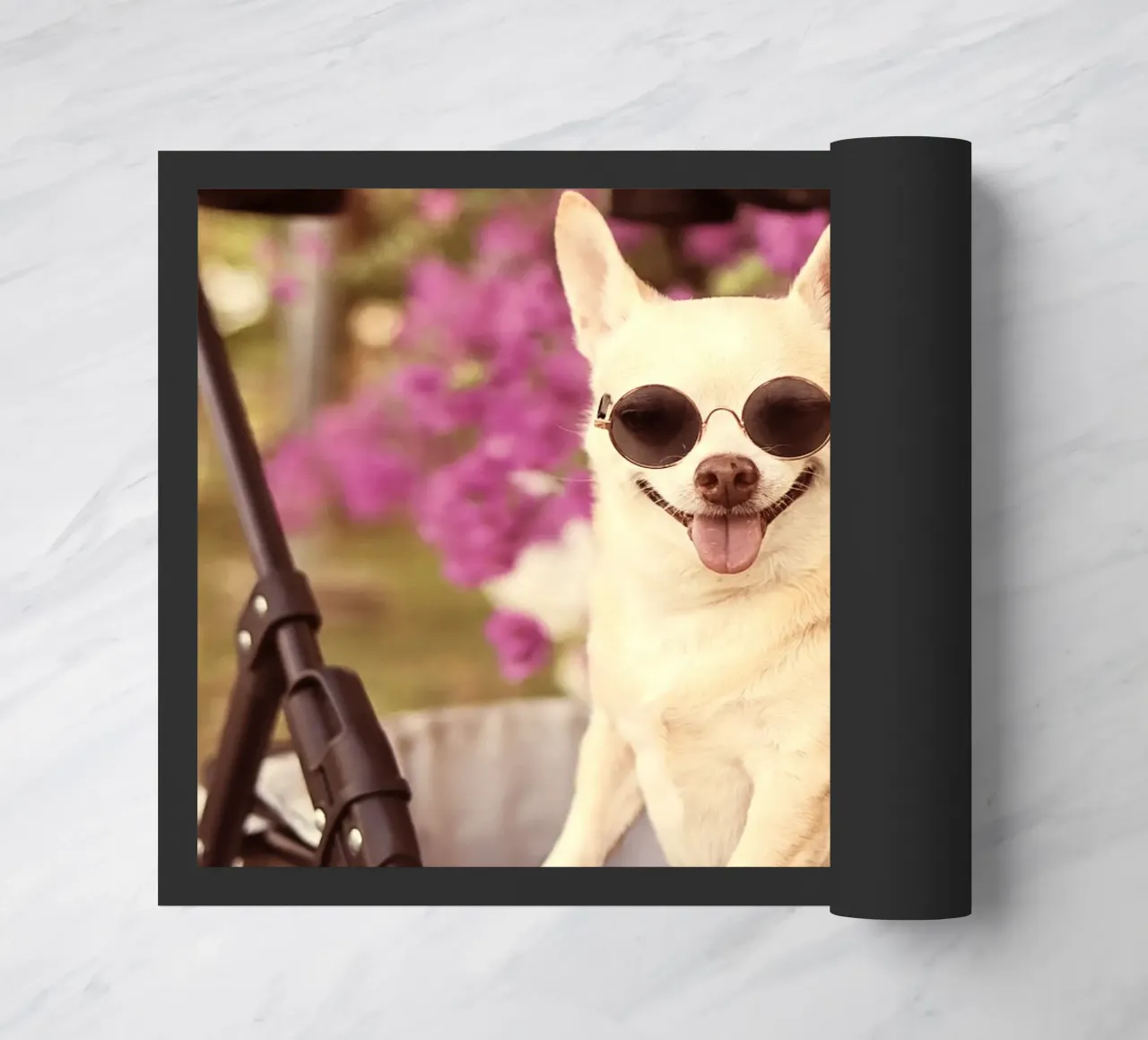 My dog zerbino da WORTSPIEL