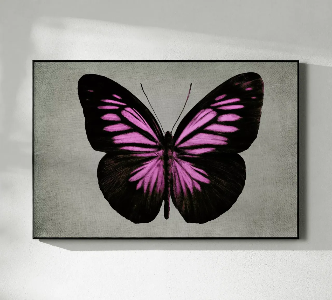 Papillon (pink) plexiglass da Eric Fan