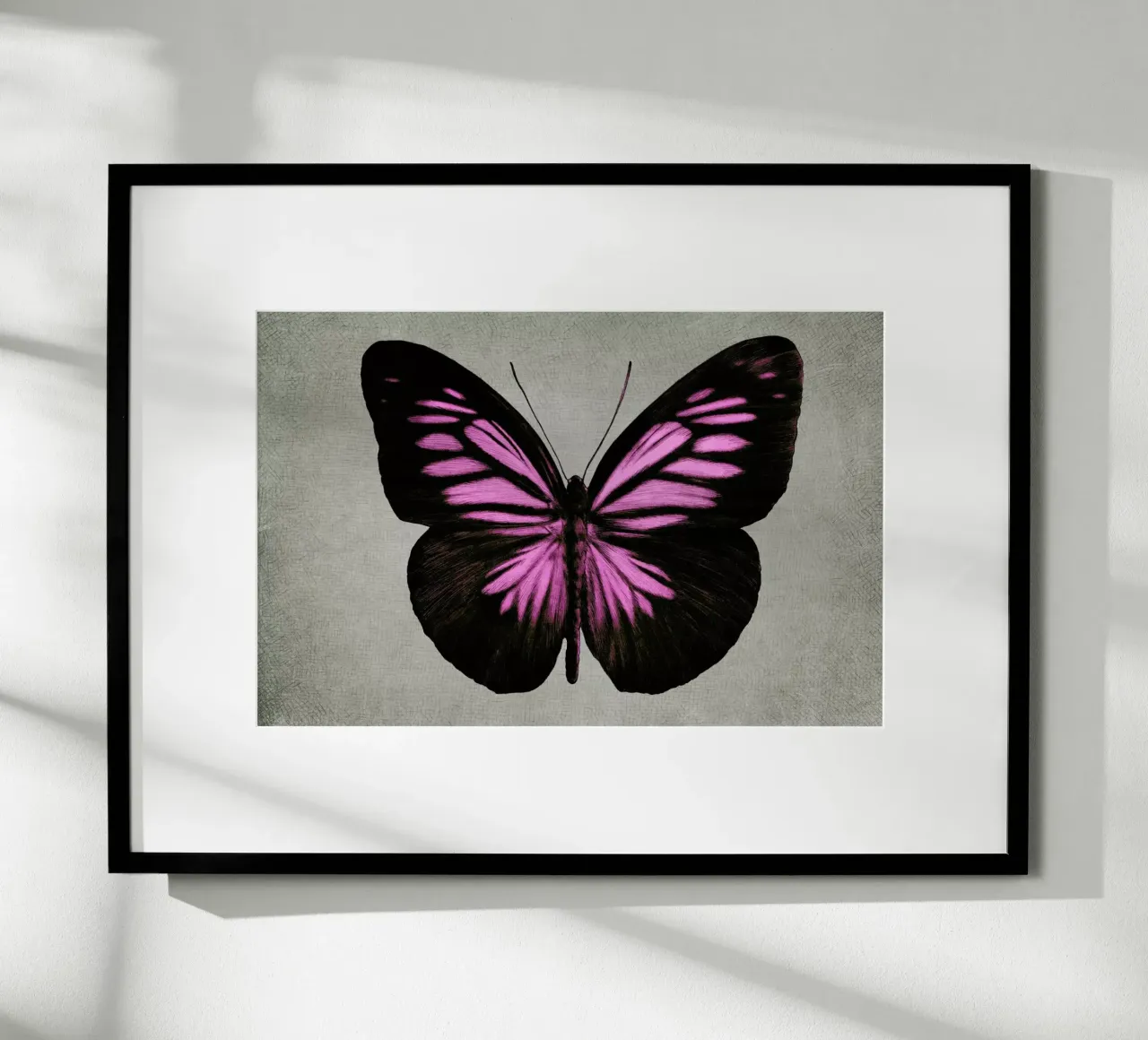 Papillon (pink) poster con telaio in legno da Eric Fan