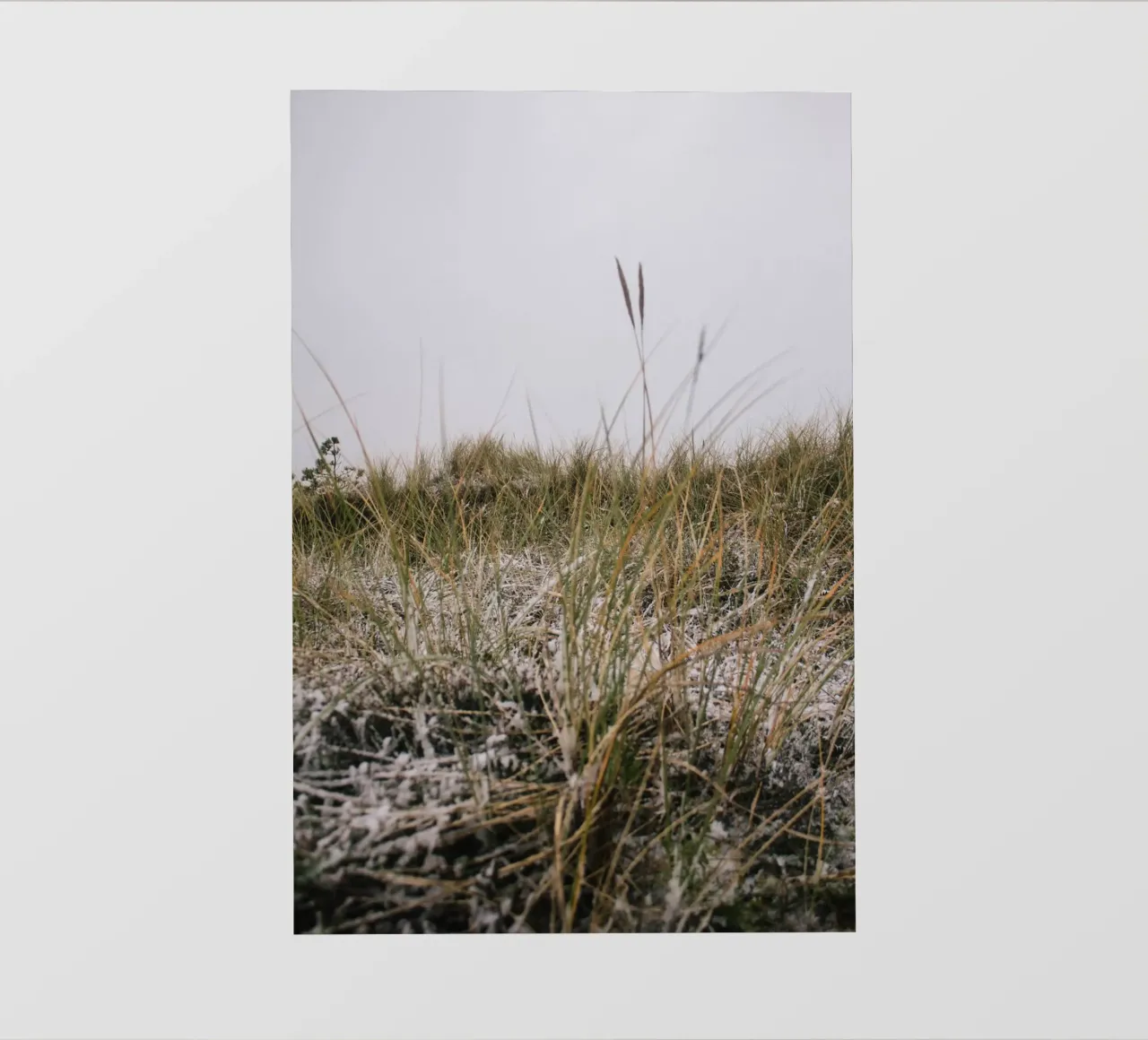 L'erba in inverno telo in pvc da Wild Horizon Studio