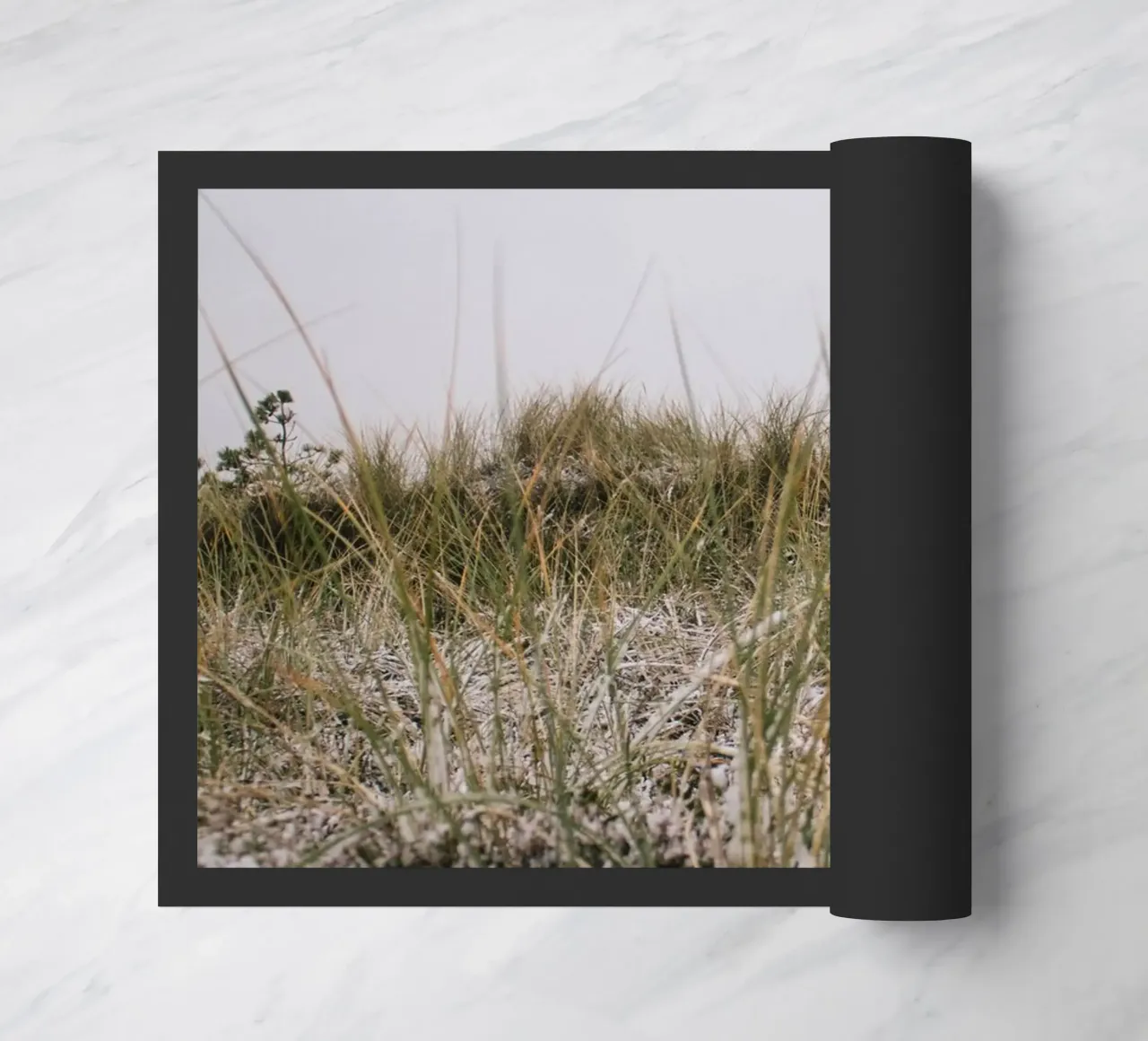 L'erba in inverno zerbino da Wild Horizon Studio