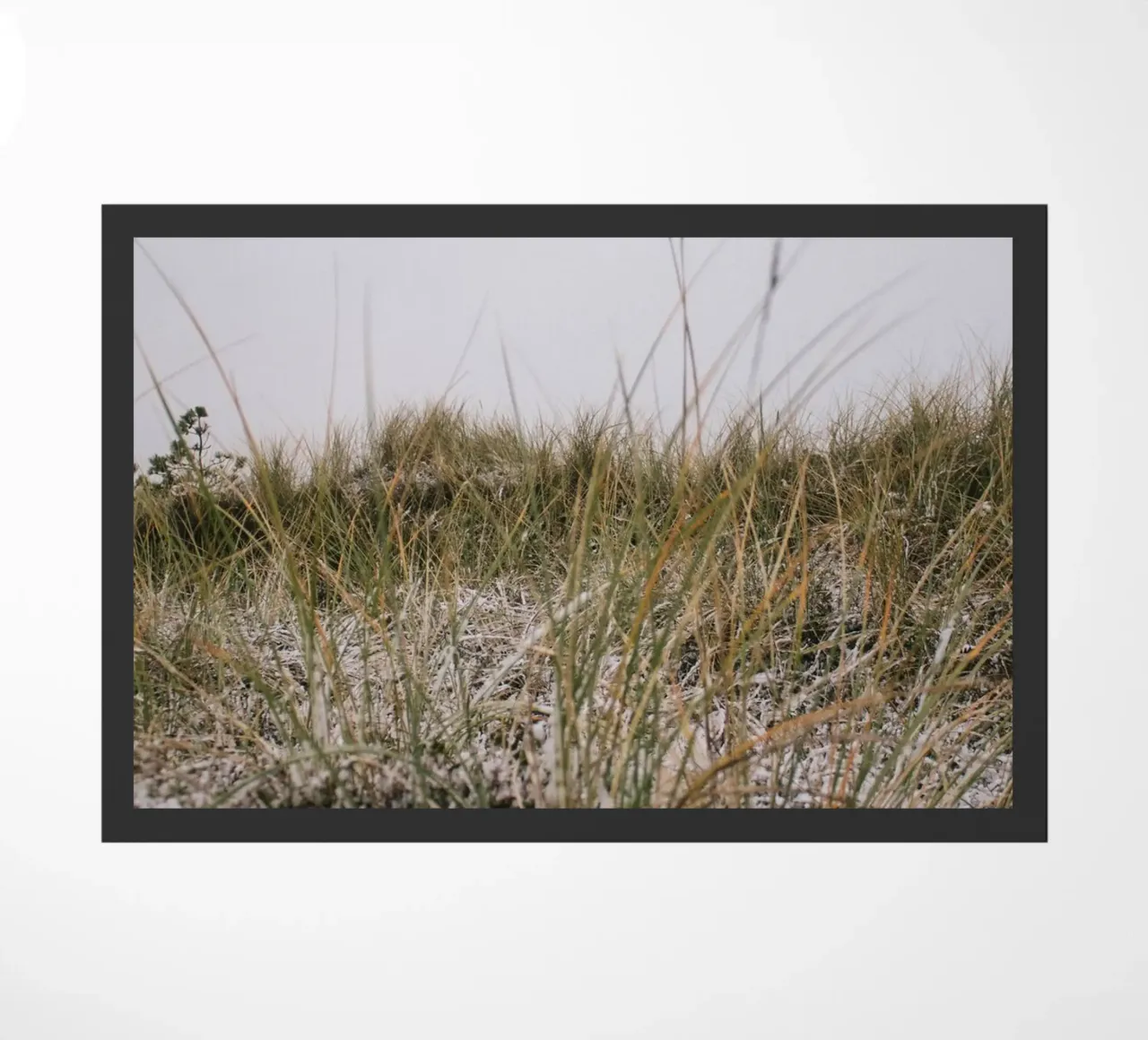 L'erba in inverno zerbino da The Wild Creative Studio