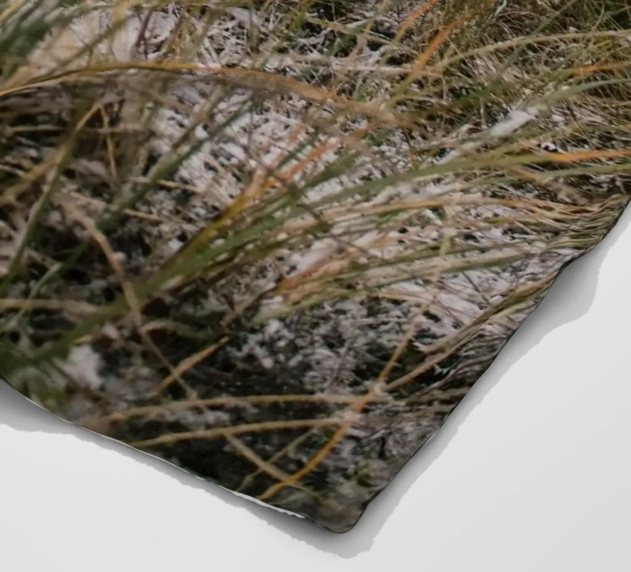 L'erba in inverno coperta in pile da Wild Horizon Studio