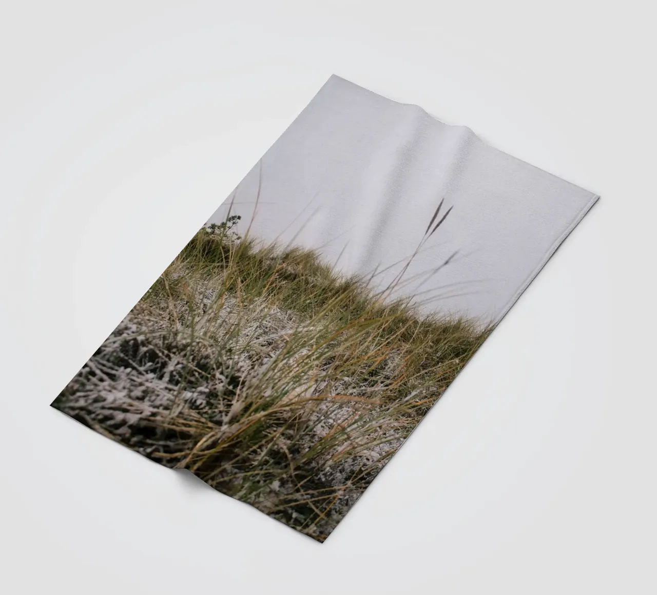 L'erba in inverno coperta in pile da Wild Horizon Studio