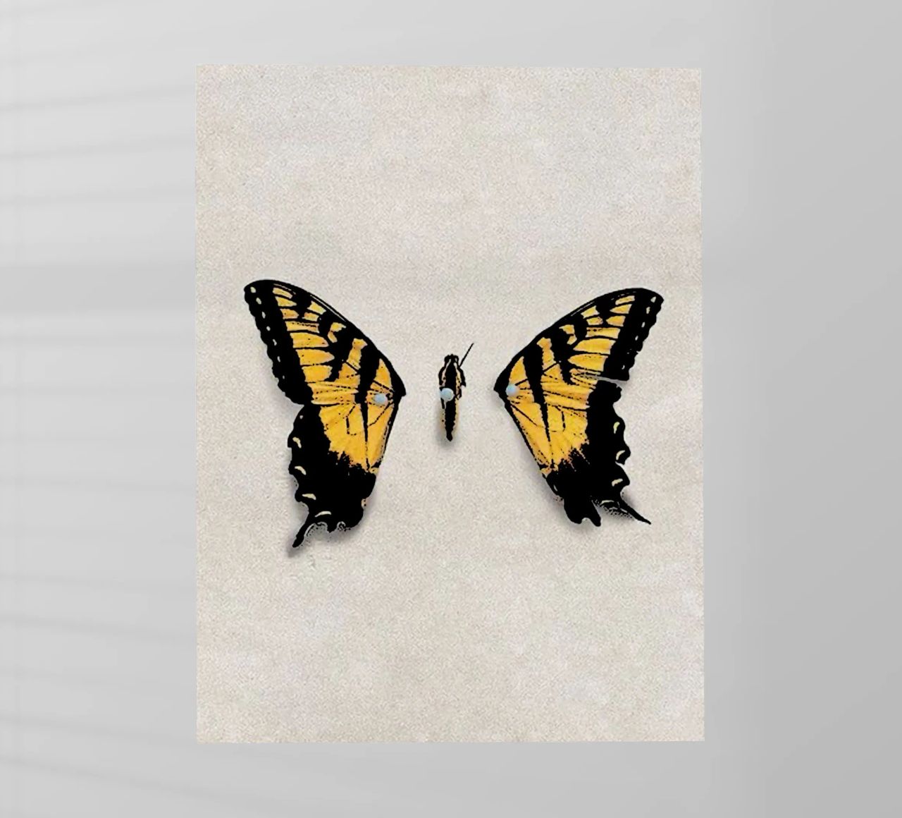 Ali di farfalla PARAMORE Art pellicola backlit da music soul