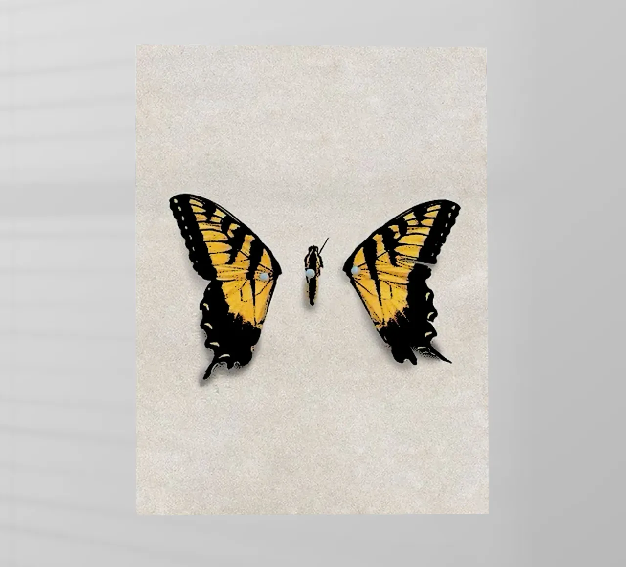 Ali di farfalla PARAMORE Art pellicola backlit da music soul