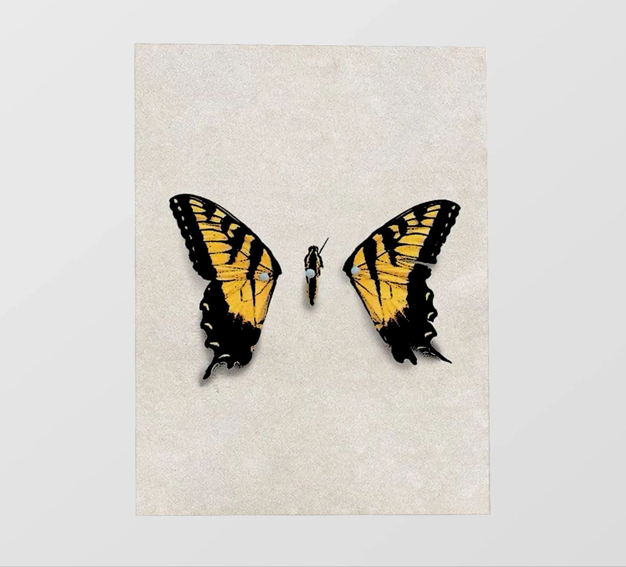 Ali di farfalla PARAMORE Art pellicola backlit da music soul