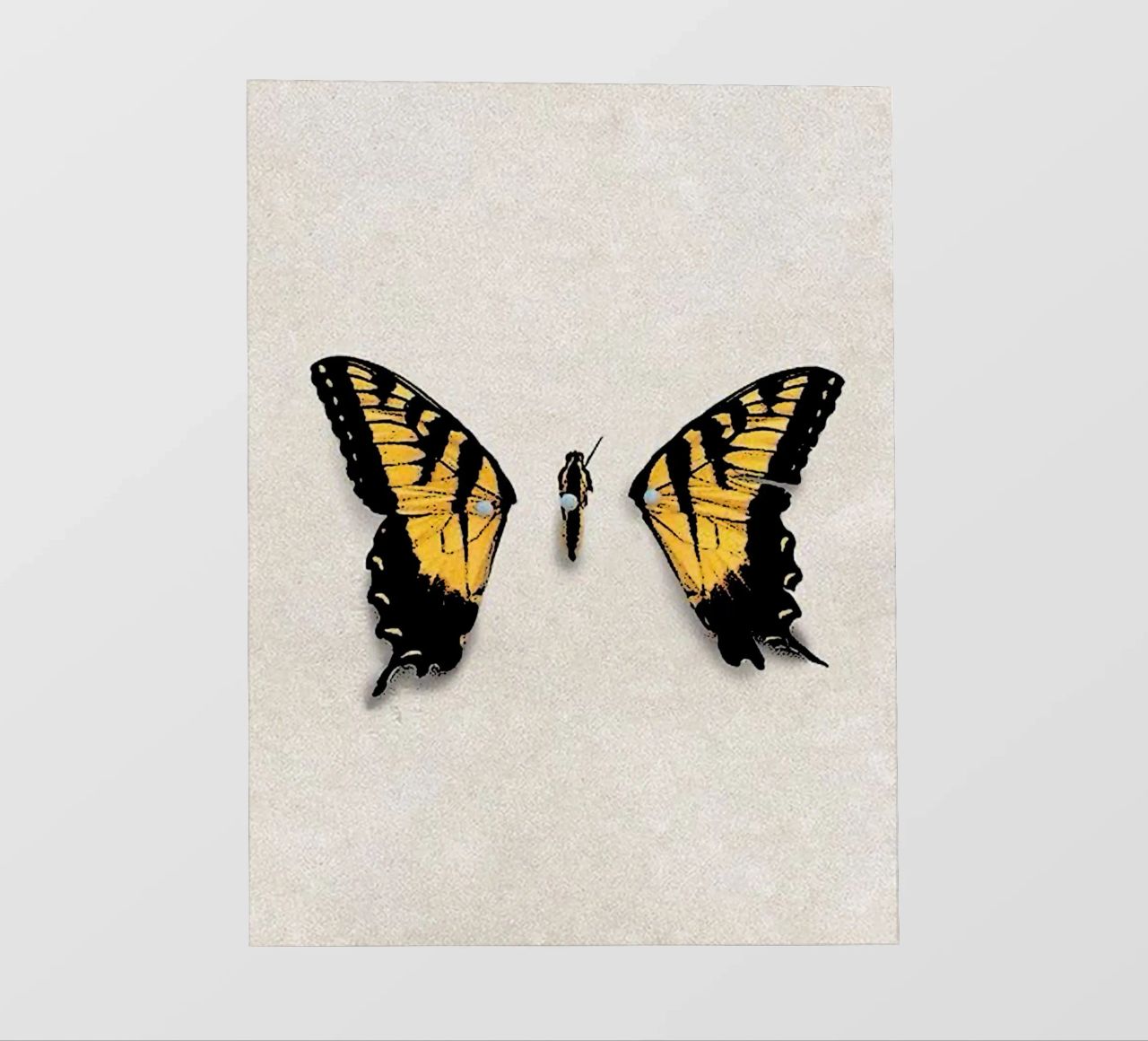 Ali di farfalla PARAMORE Art telo in pvc da music soul