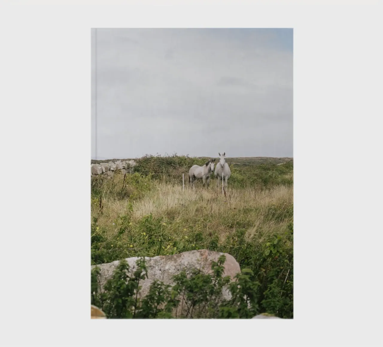 Horses in the pasture landscape notebook by The Wild Creative Studio