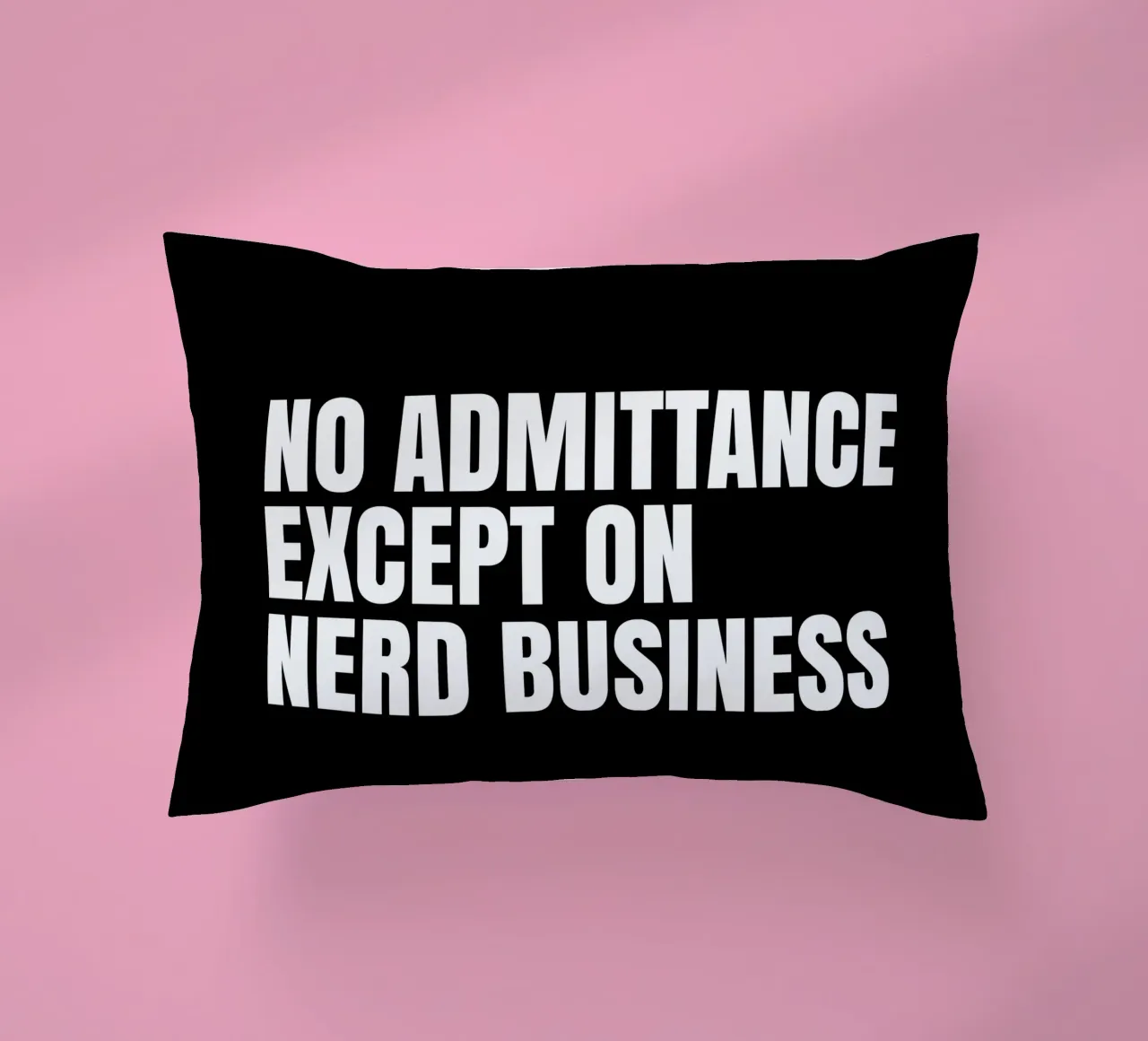 No admittance except on nerd business Kissen von happieeagle