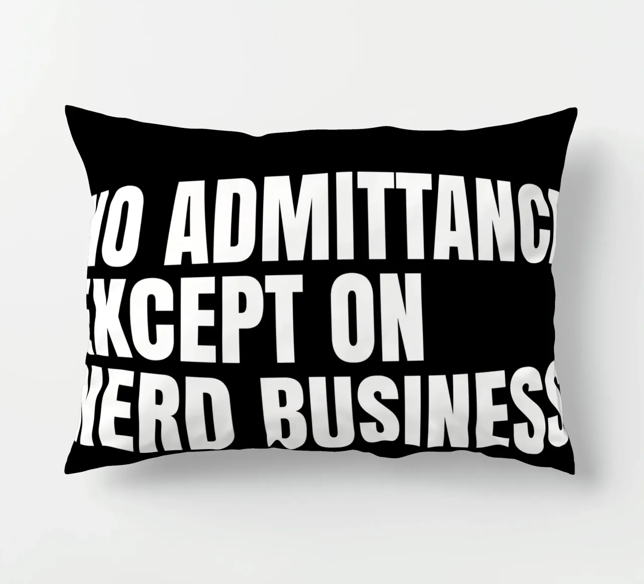 No admittance except on nerd business Kissen von happieeagle