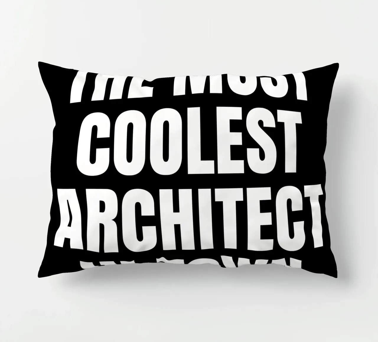 The most coolest architect in town cuscino da happieeagle