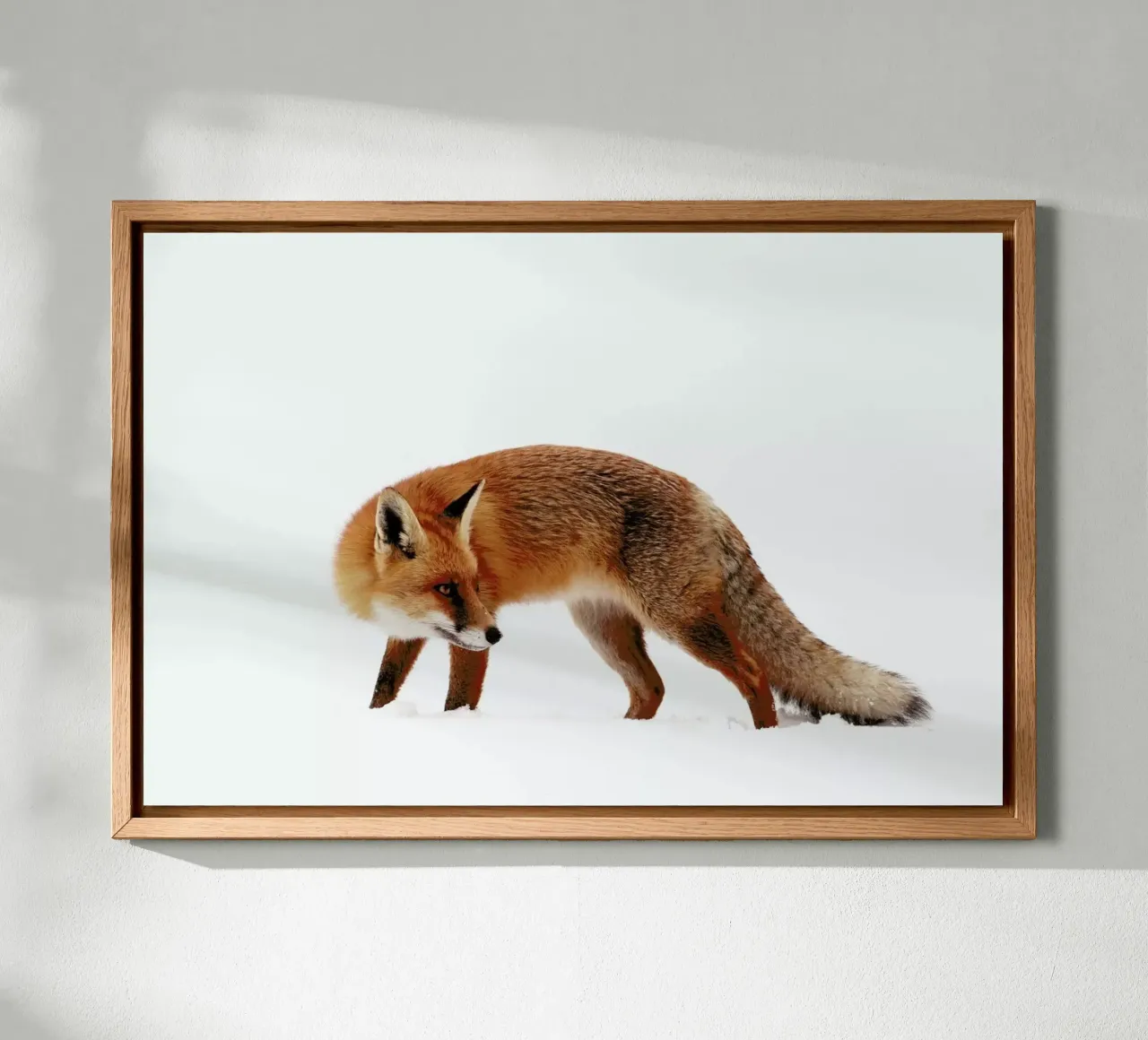 Fox In A White World - Roeselien Raimond tela con Cornice a cassetta da Pictufy