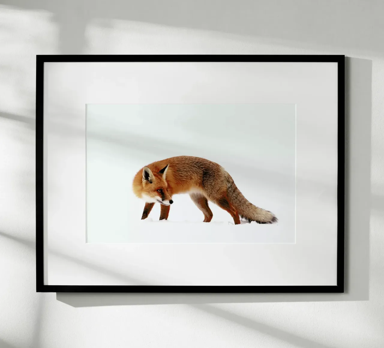 Fox In A White World - Roeselien Raimond carta hahnemühle da Pictufy